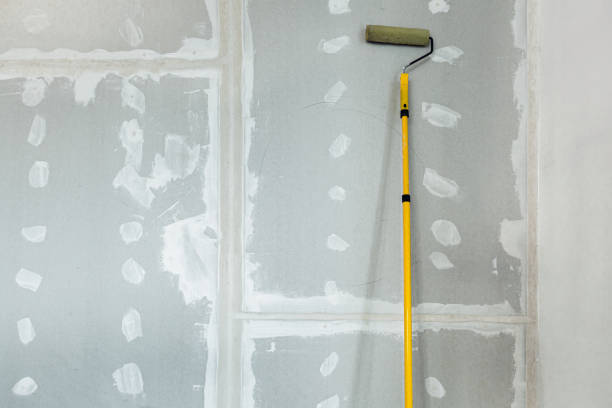 Best Air Quality Testing for Mold Spores  in Perry, KS